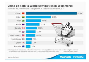 在创业浪潮中搭上电子商务的顺风车 平台开发建设的实战指南